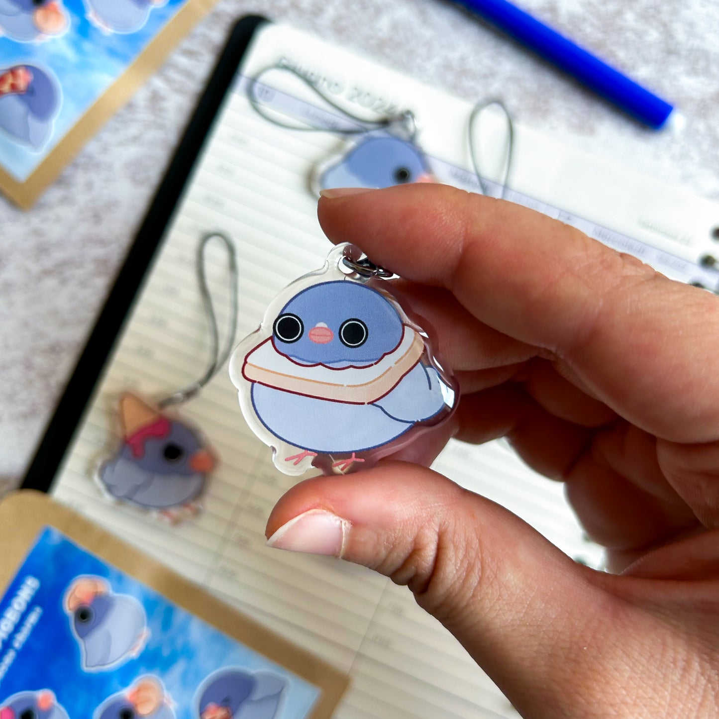 Silly pigeons blind bag | acrylic phone charm + sticker | acrylic keychain