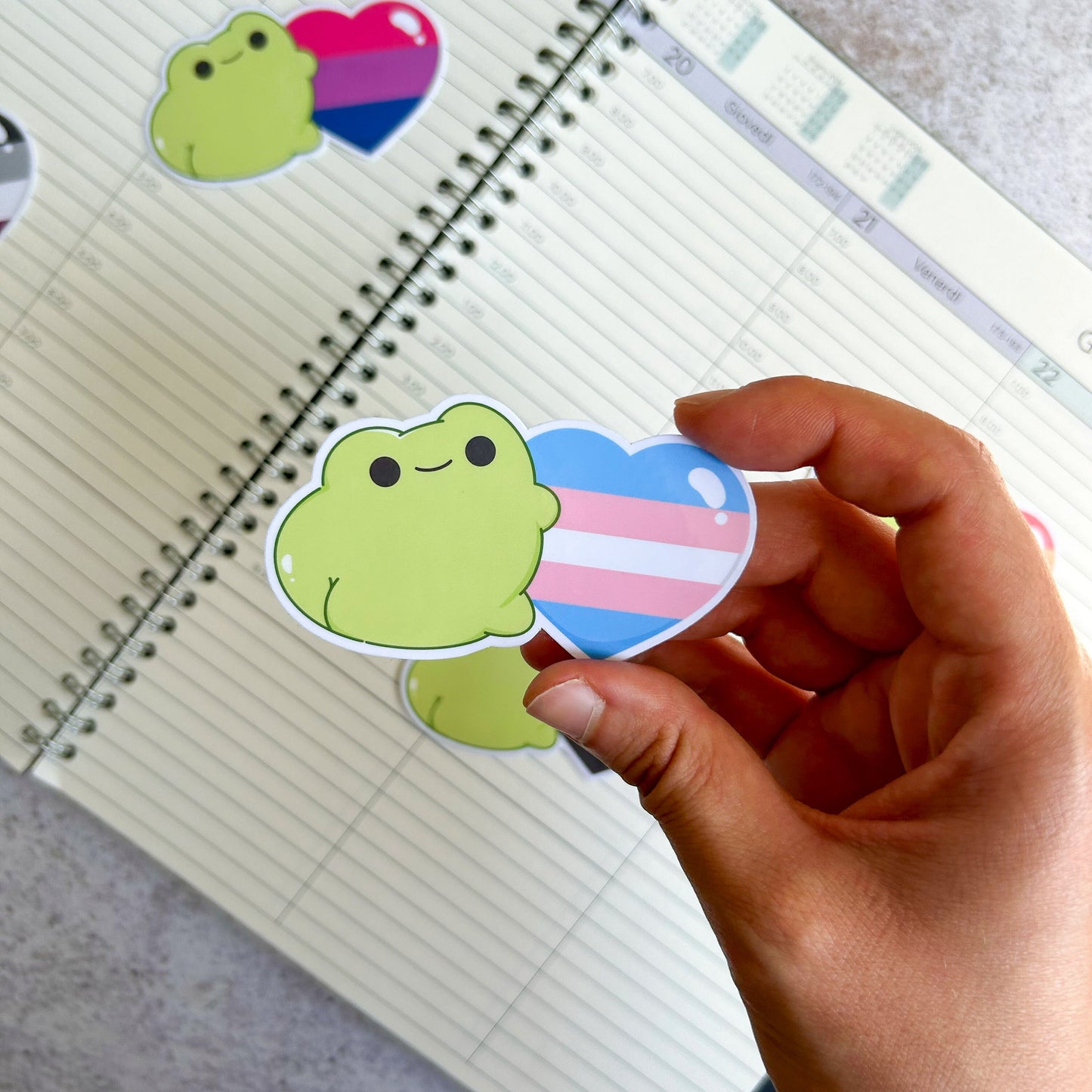 Transgender pride heart frog die cut sticker | bujo | cute stationery | journaling sticker | vinyl sticker | laptop sticker | LGBTQIA+