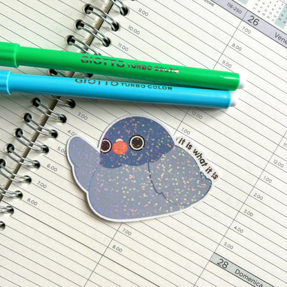It is what it is pigeon die cut sticker | cute stationery | journaling sticker | bujo | holographic sticker
